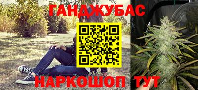 мяу мяу мука Кинель