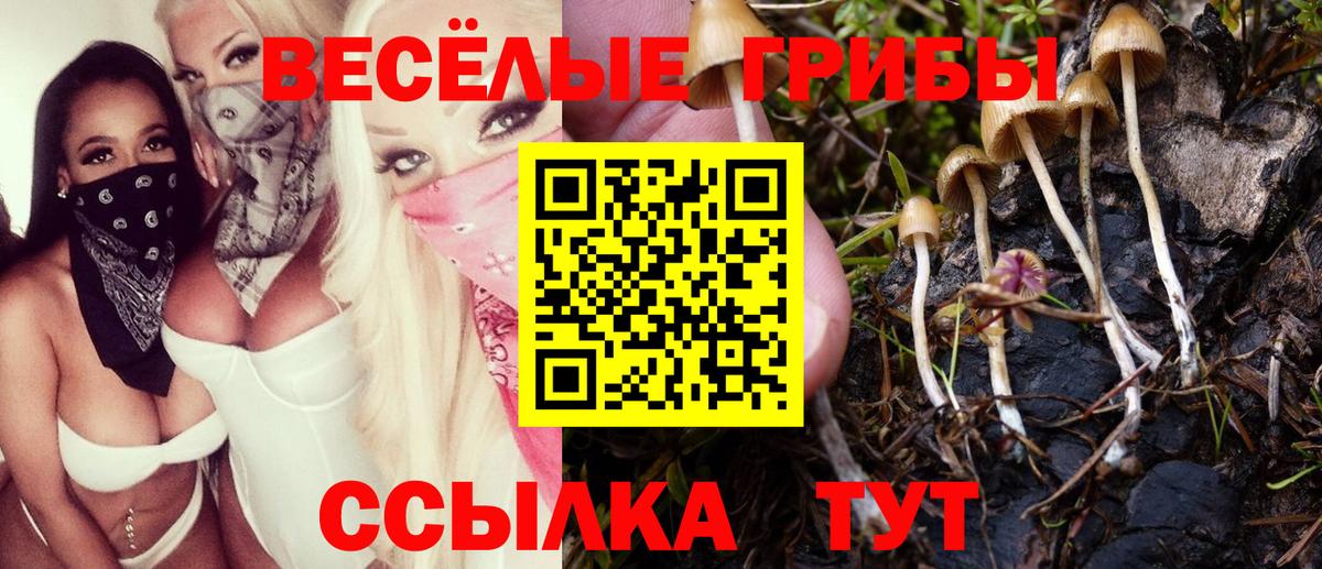 Псилоцибиновые грибы Psilocybine cubensis  Галлюциногенные грибы прущие грибы  Вход с VPN  Керчь 